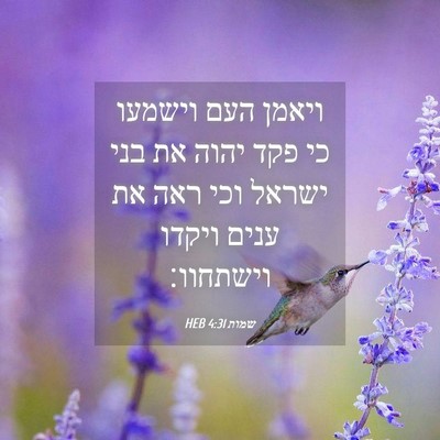 Picture 04 - שמות 4:31 HEB - ויאמן העם וישמעו כי פקד - Bible Verse Picture