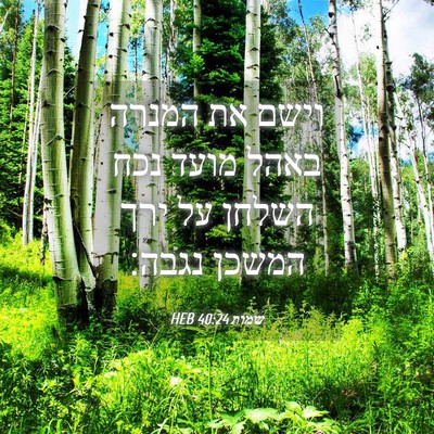Picture 04 - שמות 40:24 HEB - וישם את המנרה באהל מועד נכח - Bible Verse Picture