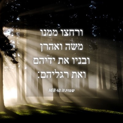 Picture 04 - שמות 40:31 HEB - ורחצו ממנו משה ואהרן ובניו - Bible Verse Picture