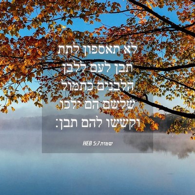 Picture 04 - שמות 5:7 HEB - לא תאספון לתת תבן לעם ללבן - Bible Verse Picture
