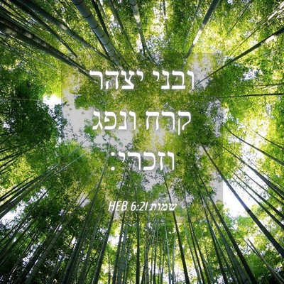 Picture 04 - שמות 6:21 HEB - ובני יצהר קרח ונפג - Bible Verse Picture