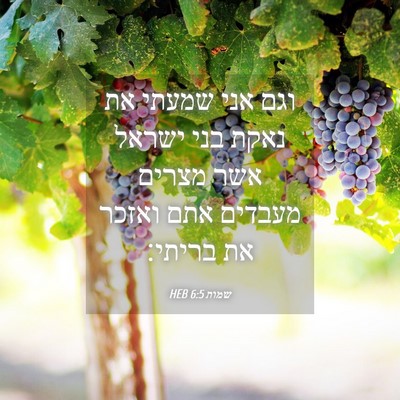 Picture 04 - שמות 6:5 HEB - וגם אני שמעתי את נאקת בני - Bible Verse Picture