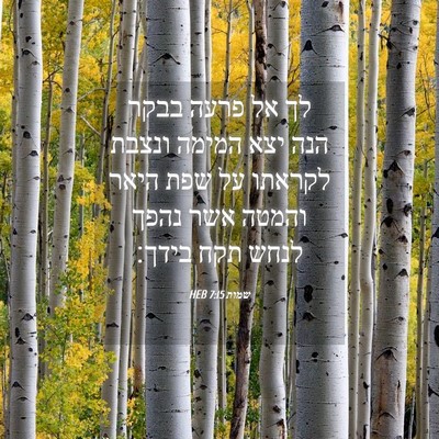 Picture 04 - שמות 7:15 HEB - לך אל פרעה בבקר הנה יצא - Bible Verse Picture