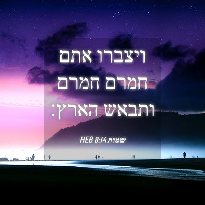Picture 04 - שמות 8:14 HEB - ויצברו אתם חמרם חמרם ותבאש - Bible Verse Picture