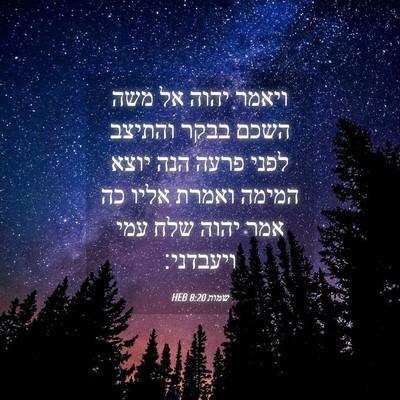 Picture 04 - שמות 8:20 HEB - ויאמר יהוה אל משה השכם בבקר - Bible Verse Picture