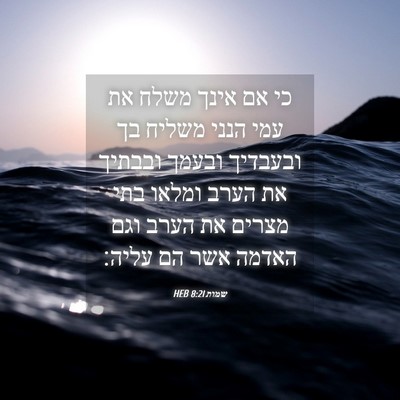 Picture 04 - שמות 8:21 HEB - כי אם אינך משלח את עמי הנני - Bible Verse Picture