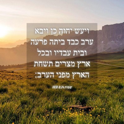 Picture 04 - שמות 8:24 HEB - ויעש יהוה כן ויבא ערב כבד - Bible Verse Picture