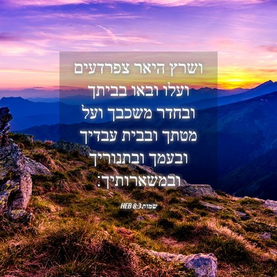 Picture 04 - שמות 8:3 HEB - ושרץ היאר צפרדעים ועלו - Bible Verse Picture