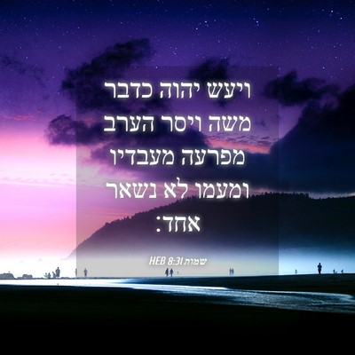 Picture 04 - שמות 8:31 HEB - ויעש יהוה כדבר משה ויסר - Bible Verse Picture