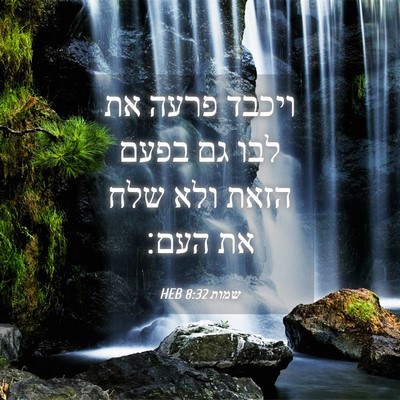 Picture 04 - שמות 8:32 HEB - ויכבד פרעה את לבו גם בפעם - Bible Verse Picture