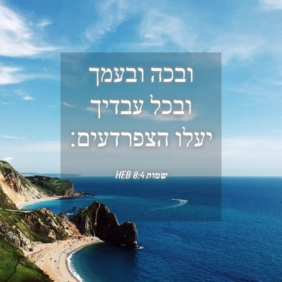 Picture 04 - שמות 8:4 HEB - ובכה ובעמך ובכל עבדיך יעלו - Bible Verse Picture