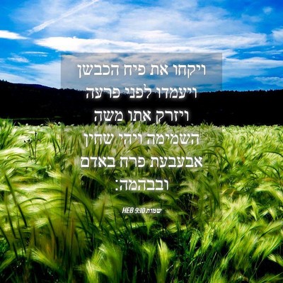 Picture 04 - שמות 9:10 HEB - ויקחו את פיח הכבשן ויעמדו - Bible Verse Picture