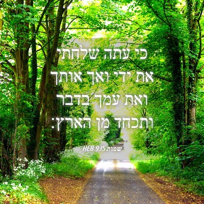 Picture 04 - שמות 9:15 HEB - כי עתה שלחתי את ידי ואך - Bible Verse Picture