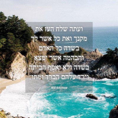 Picture 04 - שמות 9:19 HEB - ועתה שלח העז את מקנך ואת כל - Bible Verse Picture