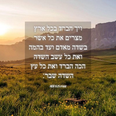 Picture 04 - שמות 9:25 HEB - ויך הברד בכל ארץ מצרים את - Bible Verse Picture