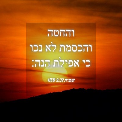 Picture 04 - שמות 9:32 HEB - והחטה והכסמת לא נכו כי - Bible Verse Picture