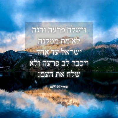 Picture 04 - שמות 9:7 HEB - וישלח פרעה והנה לא מת ממקנה - Bible Verse Picture