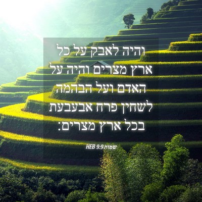 Picture 04 - שמות 9:9 HEB - והיה לאבק על כל ארץ מצרים - Bible Verse Picture