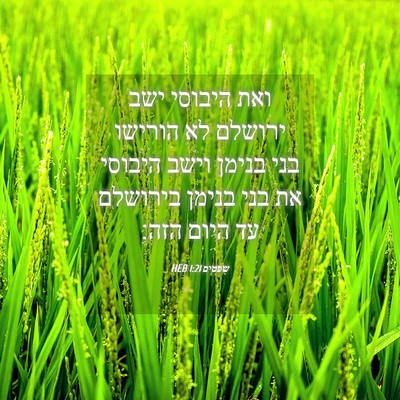 Picture 04 - שפטים 1:21 HEB - ואת היבוסי ישב ירושלם לא - Bible Verse Picture