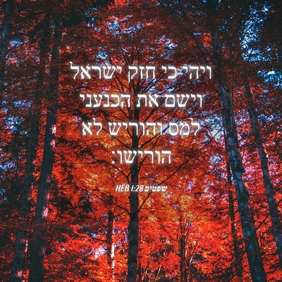 Picture 04 - שפטים 1:28 HEB - ויהי כי חזק ישראל וישם את - Bible Verse Picture