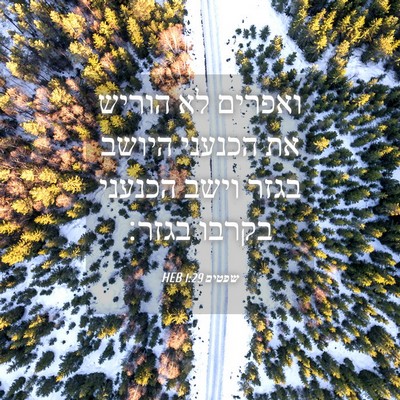 Picture 04 - שפטים 1:29 HEB - ואפרים לא הוריש את הכנעני - Bible Verse Picture