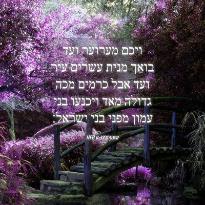 Picture 04 - שפטים 11:33 HEB - ויכם מערוער ועד בואך מנית - Bible Verse Picture