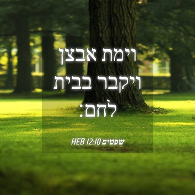 Picture 04 - שפטים 12:10 HEB - וימת אבצן ויקבר בבית - Bible Verse Picture