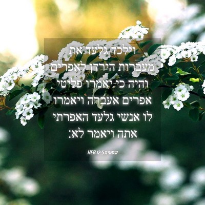 Picture 04 - שפטים 12:5 HEB - וילכד גלעד את מעברות הירדן - Bible Verse Picture