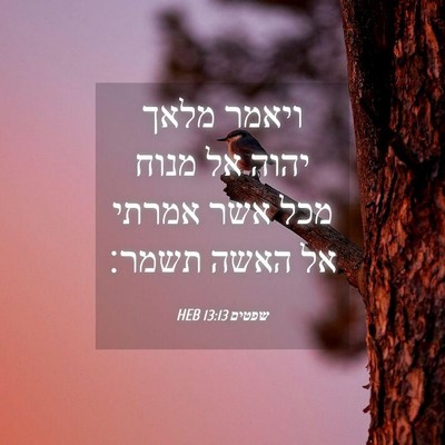 Picture 04 - שפטים 13:13 HEB - ויאמר מלאך יהוה אל מנוח מכל - Bible Verse Picture
