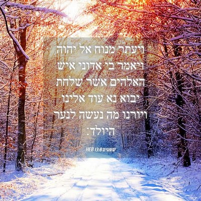 Picture 04 - שפטים 13:8 HEB - ויעתר מנוח אל יהוה ויאמר בי - Bible Verse Picture