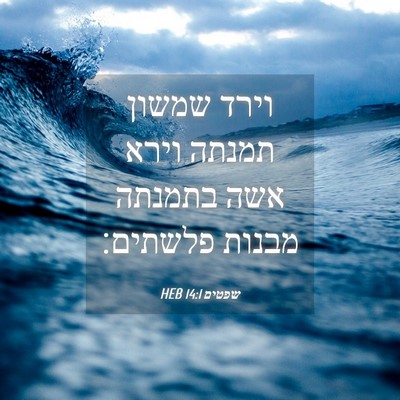 Picture 04 - שפטים 14:1 HEB - וירד שמשון תמנתה וירא אשה - Bible Verse Picture