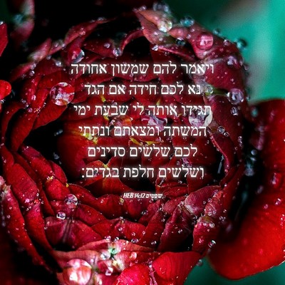 Picture 04 - שפטים 14:12 HEB - ויאמר להם שמשון אחודה נא - Bible Verse Picture