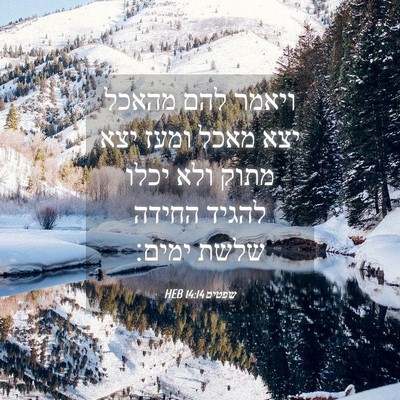 Picture 04 - שפטים 14:14 HEB - ויאמר להם מהאכל יצא מאכל - Bible Verse Picture