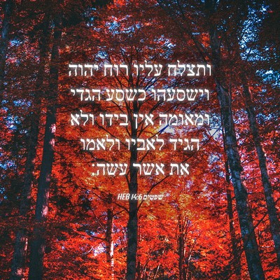 Picture 04 - שפטים 14:6 HEB - ותצלח עליו רוח יהוה - Bible Verse Picture