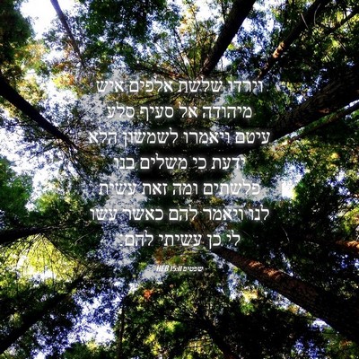 Picture 04 - שפטים 15:11 HEB - וירדו שלשת אלפים איש - Bible Verse Picture