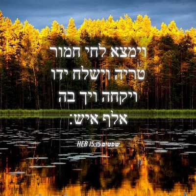 Picture 04 - שפטים 15:15 HEB - וימצא לחי חמור טריה וישלח - Bible Verse Picture