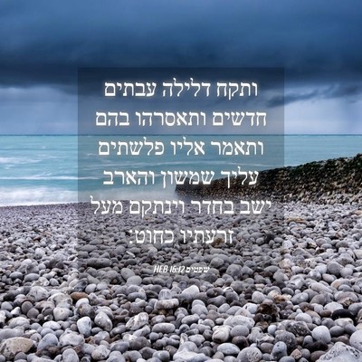 Picture 04 - שפטים 16:12 HEB - ותקח דלילה עבתים חדשים - Bible Verse Picture