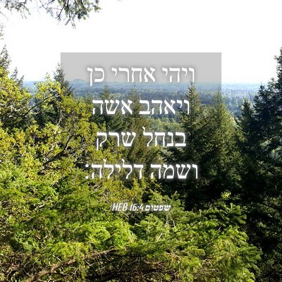 Picture 04 - שפטים 16:4 HEB - ויהי אחרי כן ויאהב אשה בנחל - Bible Verse Picture
