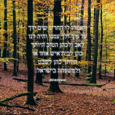 Picture 04 - שפטים 18:19 HEB - ויאמרו לו החרש שים ידך על - Bible Verse Picture