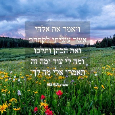 Picture 04 - שפטים 18:24 HEB - ויאמר את אלהי אשר עשיתי - Bible Verse Picture
