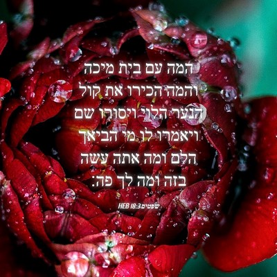 Picture 04 - שפטים 18:3 HEB - המה עם בית מיכה והמה הכירו - Bible Verse Picture