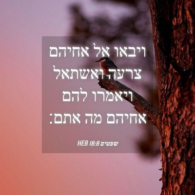 Picture 04 - שפטים 18:8 HEB - ויבאו אל אחיהם צרעה ואשתאל - Bible Verse Picture