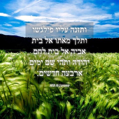 Picture 04 - שפטים 19:2 HEB - ותזנה עליו פילגשו ותלך - Bible Verse Picture