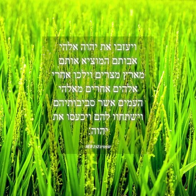 Picture 04 - שפטים 2:12 HEB - ויעזבו את יהוה אלהי אבותם - Bible Verse Picture