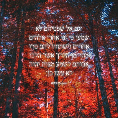 Picture 04 - שפטים 2:17 HEB - וגם אל שפטיהם לא שמעו כי - Bible Verse Picture