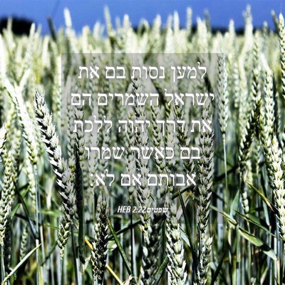 Picture 04 - שפטים 2:22 HEB - למען נסות בם את ישראל - Bible Verse Picture