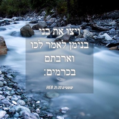 Picture 04 - שפטים 21:20 HEB - ויצו את בני בנימן לאמר לכו - Bible Verse Picture