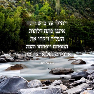 Picture 04 - שפטים 3:25 HEB - ויחילו עד בוש והנה איננו - Bible Verse Picture
