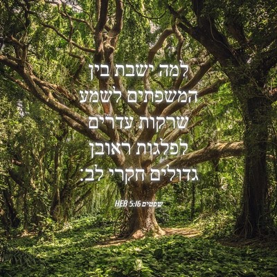 Picture 04 - שפטים 5:16 HEB - למה ישבת בין המשפתים לשמע - Bible Verse Picture