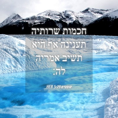 Picture 04 - שפטים 5:29 HEB - חכמות שרותיה תענינה אף היא - Bible Verse Picture